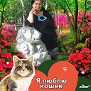���� �����, ������� - ��������� 5 ������ 2023 � ������ ���� ����������