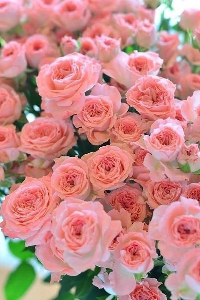 ����� �������� - 16 ���� 2025 � 20:32 - 3