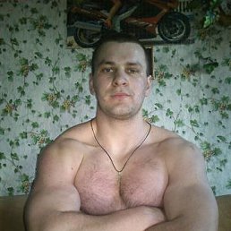 ������, 36 ���, �����