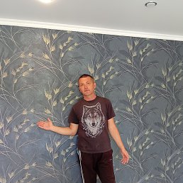 , 38,  