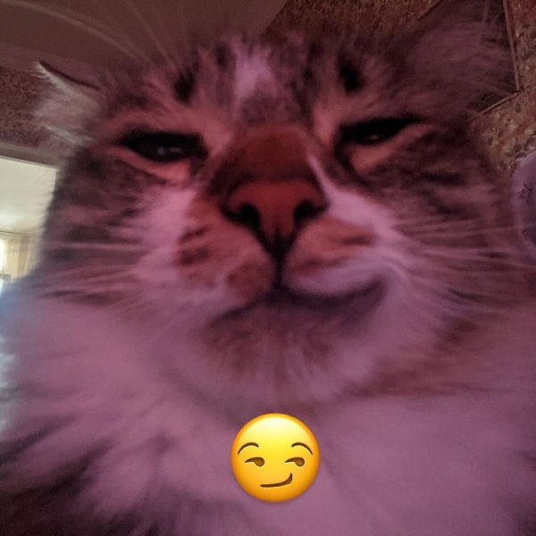 ����� ����� ������� ��? - 5