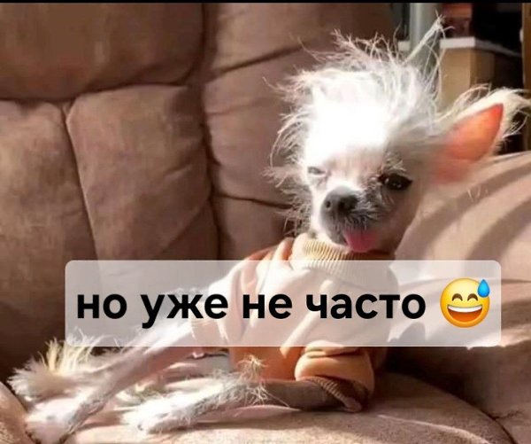   ,  ©  - 11  2025  21:12 - 3