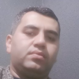 Abu Said, �������, 33 ����