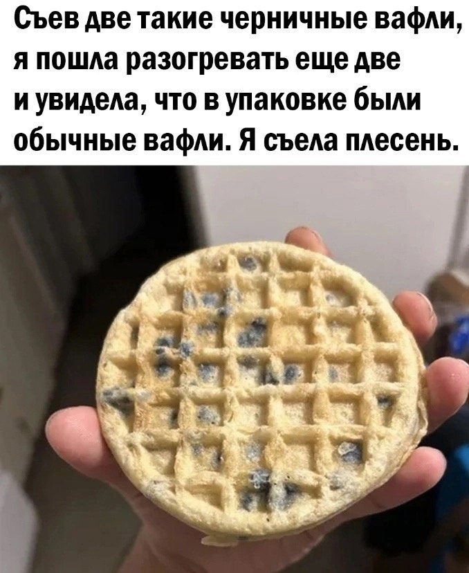 ���������� ��������� - 29 ������ 2023 � 21:47