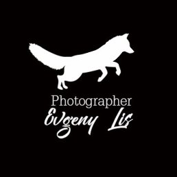 �������, ���������, 31 ���