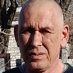 ����, �������, 56 ���