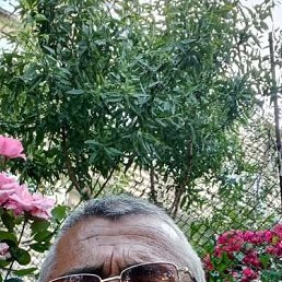 , 63, 