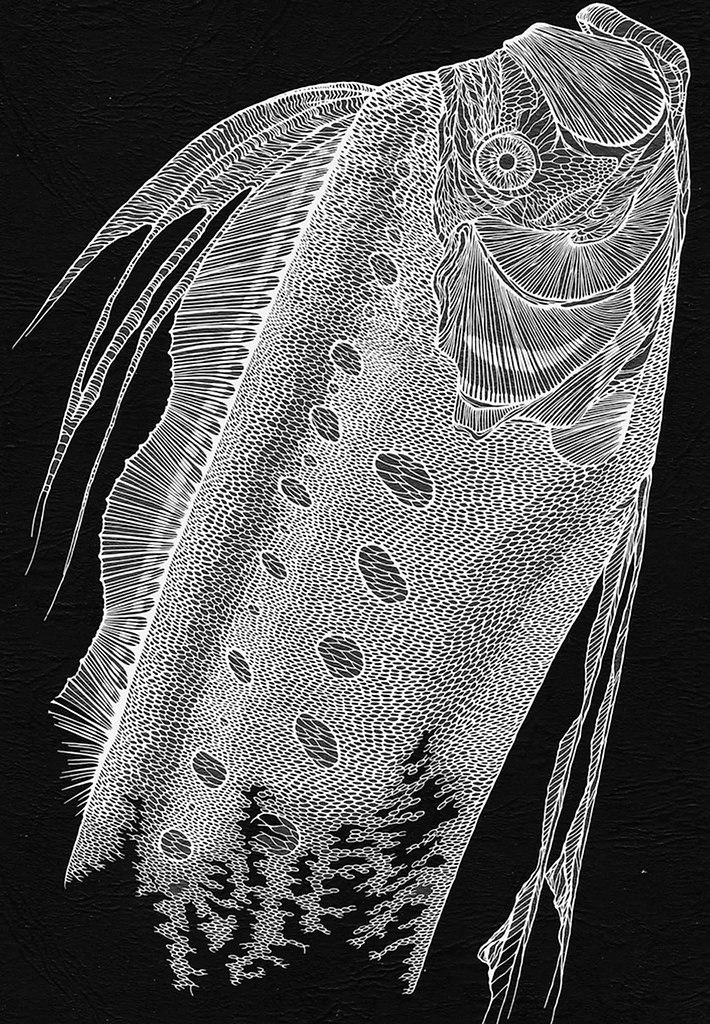 Чтобы создавать настоящие произведения искусства, не нужны дорогостоящие материалы и сложное ... - 2