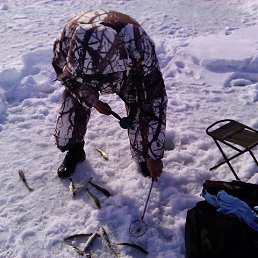 ���� �����, �������� - ��������� 1 ������� 2024