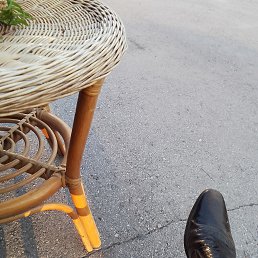 ���� ���������, ������ - ��������� 23 �������� 2024