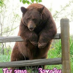 Ը���, ������, 48 ���