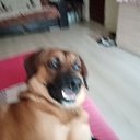 ���� �����, �����, 38 ��� - ��������� 23 ��� 2025 � ������ ���� ����������