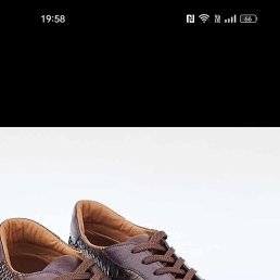 ���� ������, ������, 43 ���� - ��������� 28 ������� 2023