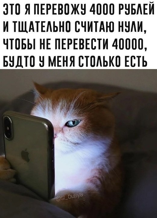 40  - 23  2024  21:00