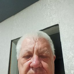 , 66 , 