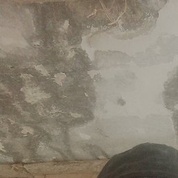 �������, �����������, 50 ���