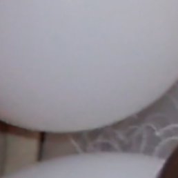 ����, �����, 37 ���