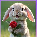 ���� ����, �����, 49 ��� - ��������� 19 ������ 2026