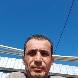 , 41, 