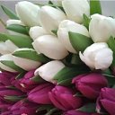 ���� Luchik, ����������� - ��������� 4 ����� 2025 � ������ ������ ��������