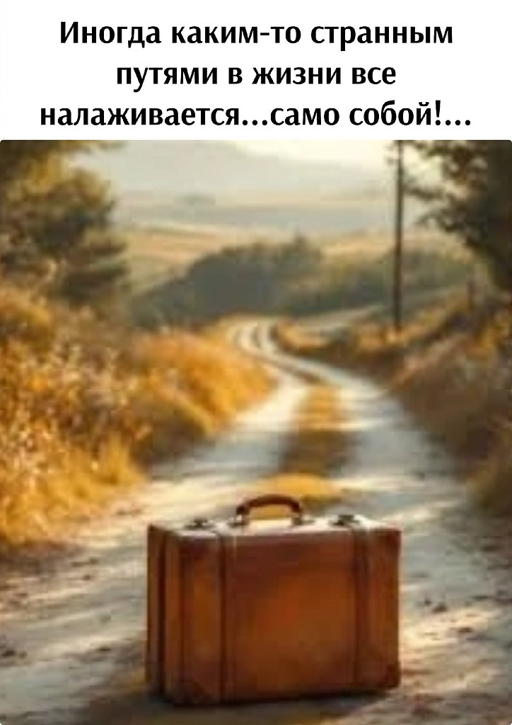   - 14  2025  20:08