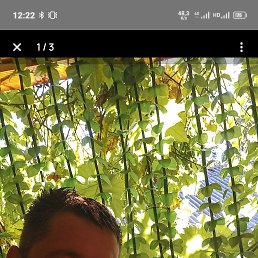 igorOk, 41, 