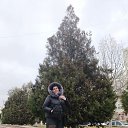 ���� ����, ������, 65 ��� - ��������� 20 ������� 2025 � ������ ���� ����������