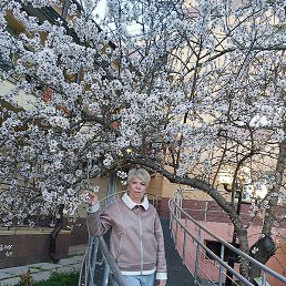 �����, ����, 58 ���