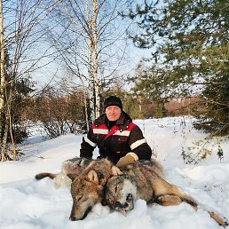 ������, ��������, 54 ����