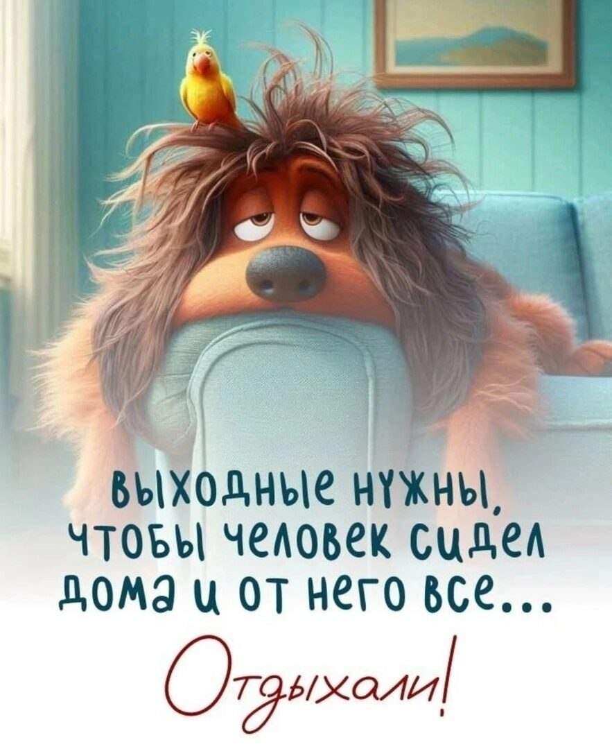 ***Victoria Viktorovna*** - 22  2024  07:18
