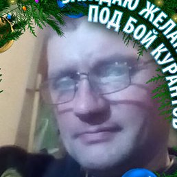 �������, ���������, 48 ���