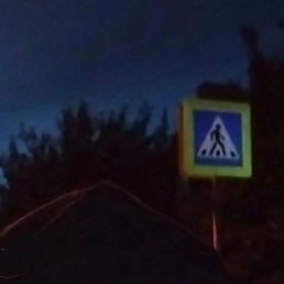 �����, �����, 24 ����