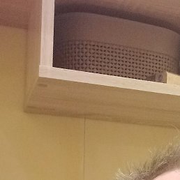 ������, �������, 58 ���