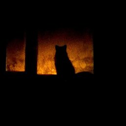 ����, ���, 32 ����