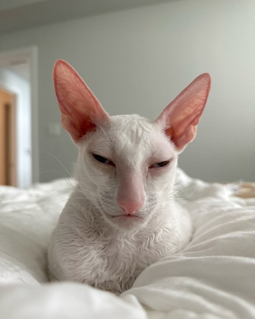 ,  .  --  ,        ... - 5