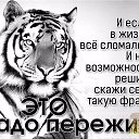 ���� ��������, ������, 53 ���� - ��������� 13 ������� 2025 � ������ ������ ��������