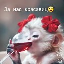 ���� Ninel, ������� - ��������� 12 ���� 2025 � ������ ���� ����������