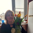 ���� ����, ���������, 51 ��� - ��������� 8 ������� 2026 � ������ ���� ����������