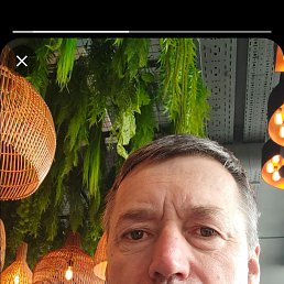 , 58, 