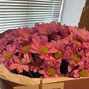 ���� Shamil, ���������, 36 ��� - ��������� 10 ����� 2024 � ������ ���� ����������