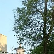 ��������, 57 ���, ������������