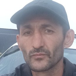 ������ ����������, �������, 43 ����