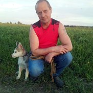 �����, 56 ���, �������