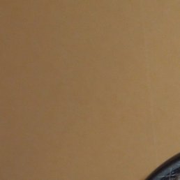 ����, ������, 65 ���