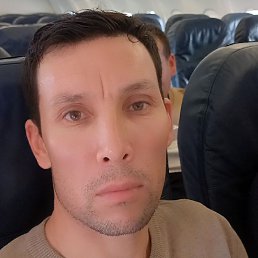 ****___&&&&, �����, 41 ���