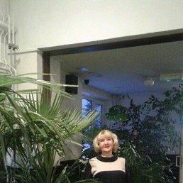 �������, �����������, 71 ���