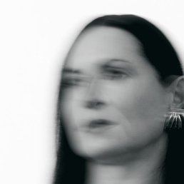 ����, ��������, 28 ���