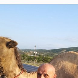 ������, 63 ����, �����-���������