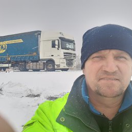 , 54, 