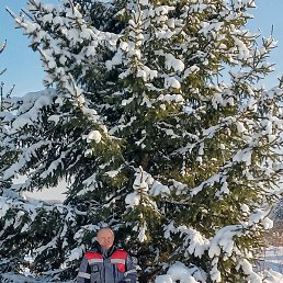 ������, ������, 58 ���